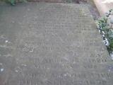 image of grave number 162045